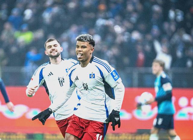 包含汉堡队保级成功，德甲继续征战的词条