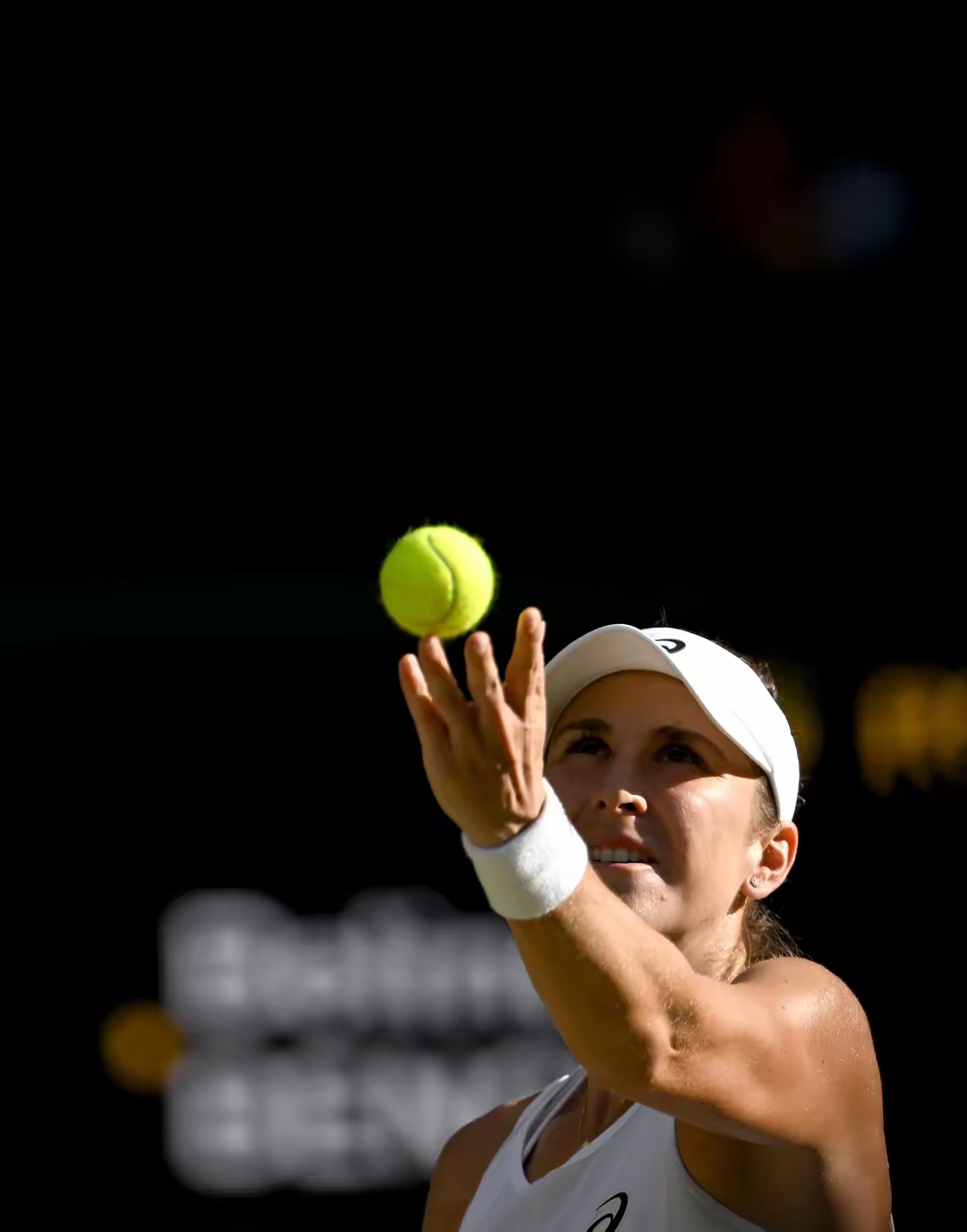 包含戴维斯杯轻取温网，蒂姆点燃赛场的词条